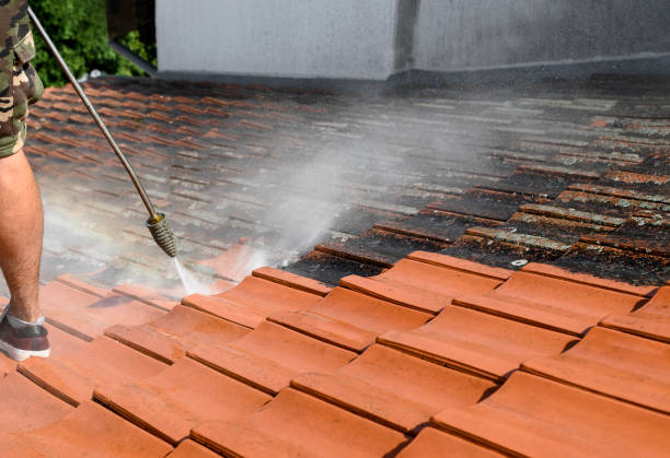 Best Best Pressure Washing Companies  in Wacousta, MI