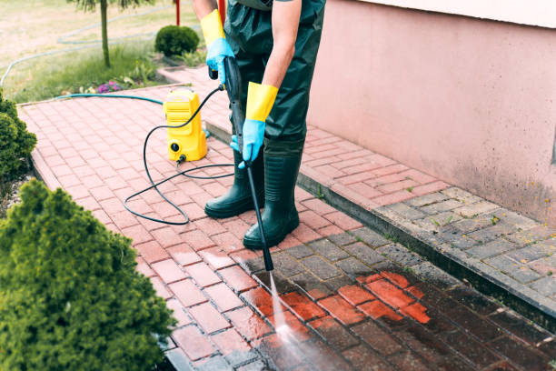 Best Affordable Pressure Washing  in Wacousta, MI
