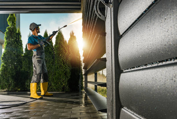 Best Exterior Home Cleaning  in Wacousta, MI