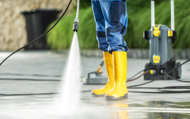 Best Best Pressure Washing Companies  in Wacousta, MI
