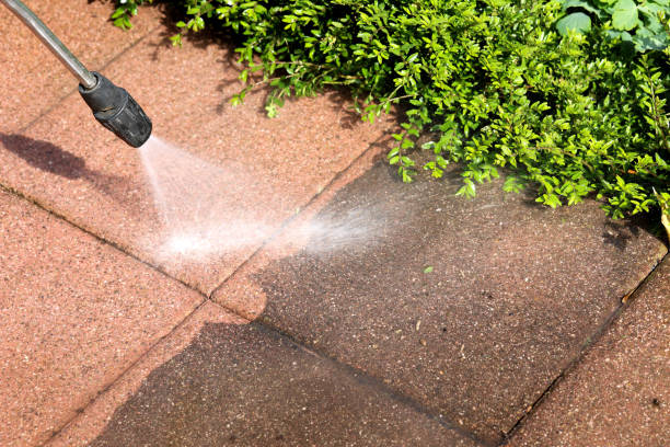Best Affordable Power Washing  in Wacousta, MI